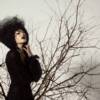 Studio- Fly-Factory